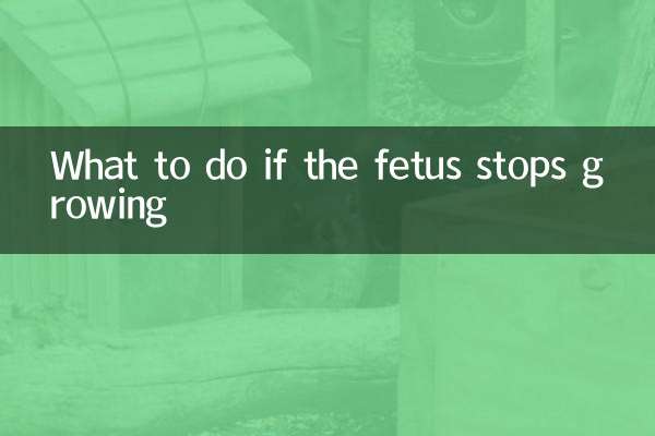태아의 성장이 멈춘 경우 대처 방법