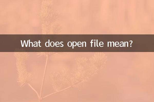 ¿Qué significa abrir archivo?