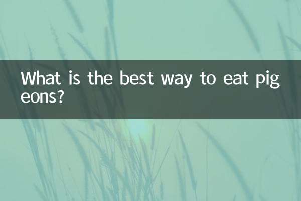 Wie isst man Tauben am besten?