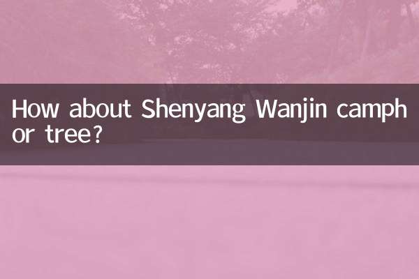 ماذا عن شنيانغ وانجين شجرة الكافور؟