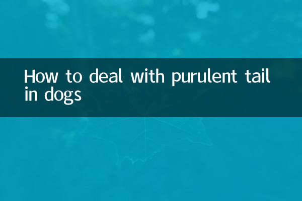Wie man mit eitrigem Schwanz bei Hunden umgeht