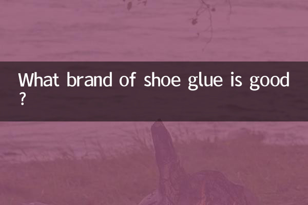 什麼牌子的鞋膠好
