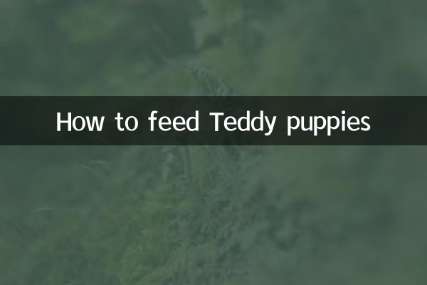 Cómo alimentar a los cachorros de peluche