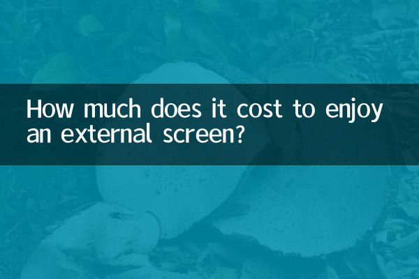 ¿Cuánto cuesta disfrutar de una pantalla externa?