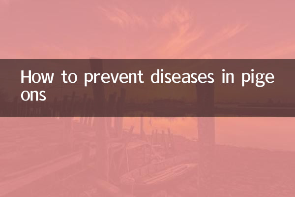 ハトの病気を予防する方法