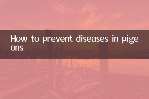 কীভাবে কবুতরের রোগ প্রতিরোধ করা যায়