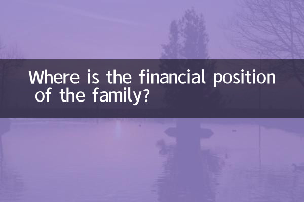 Wie ist die finanzielle Lage der Familie?