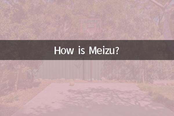 Meizu कैसा है?