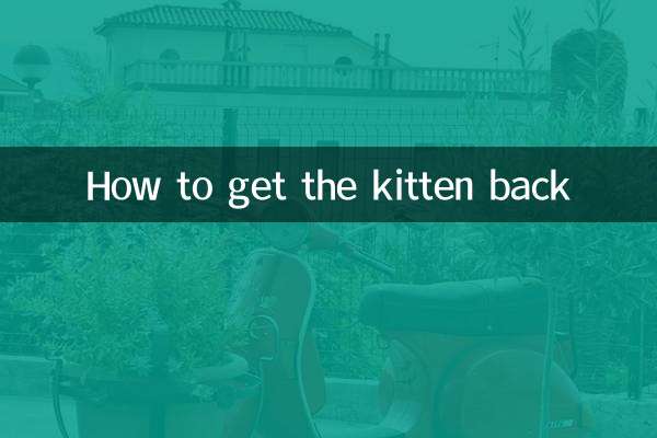 بلی کے بچے کو واپس کیسے حاصل کریں