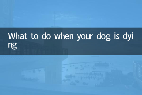 What to do when your dog is dying