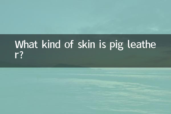 سور کا چمڑا کس طرح کی جلد ہے؟