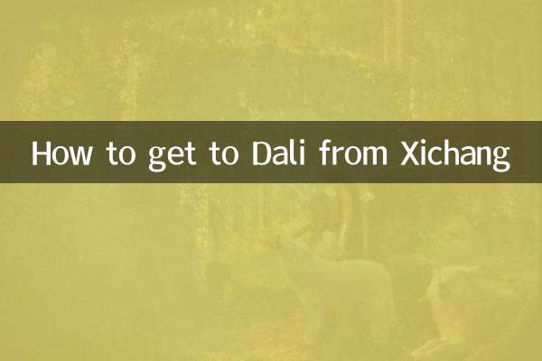 كيفية الوصول إلى دالي من شيتشانغ