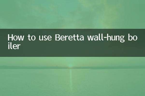 Cómo utilizar la caldera mural Beretta