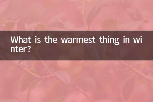What is the warmest thing in winter?