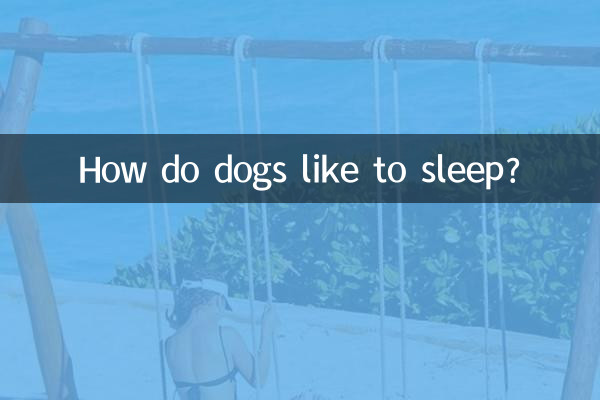狗狗喜欢怎么睡