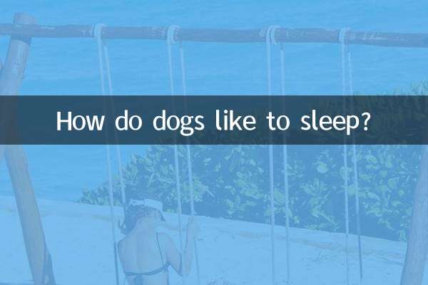 How do dogs like to sleep?