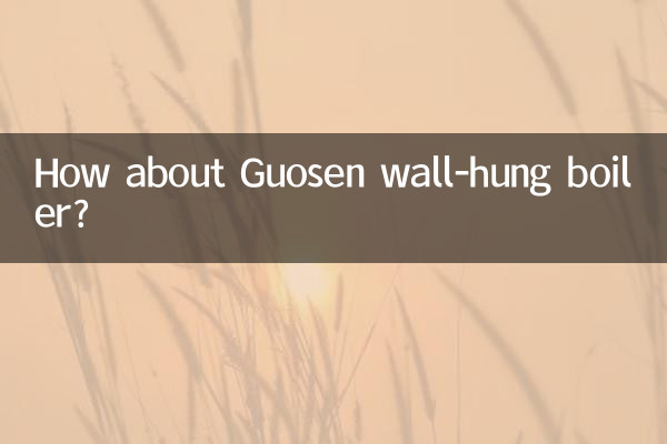 Que tal a caldeira suspensa Guosen?