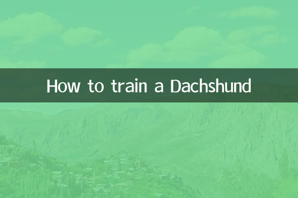 怎麼訓練臘腸犬