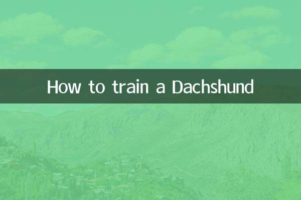 Comment dresser un teckel