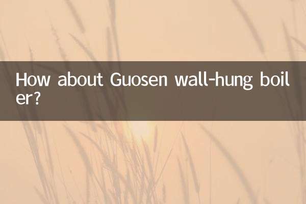 ¿Qué tal la caldera mural Guosen?