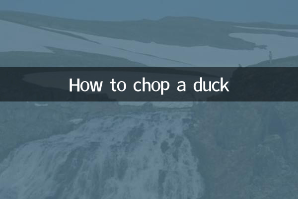 बत्तख को कैसे काटें