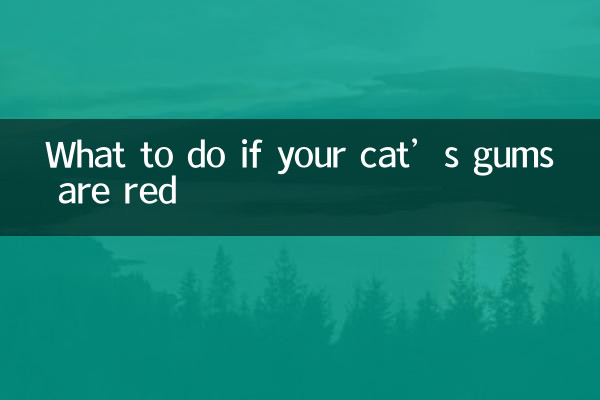 Cosa fare se le gengive del tuo gatto sono rosse?