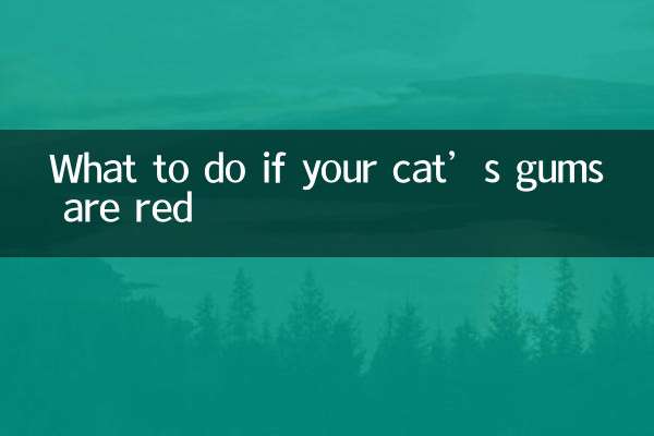 What to do if your cat’s gums are red