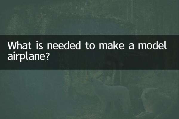 ما هو المطلوب لصنع طائرة نموذجية؟