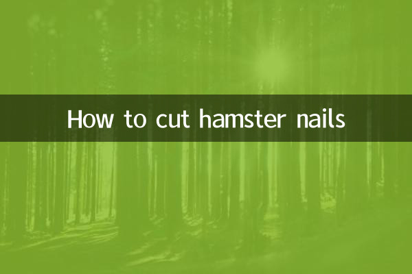 كيفية قص أظافر الهامستر