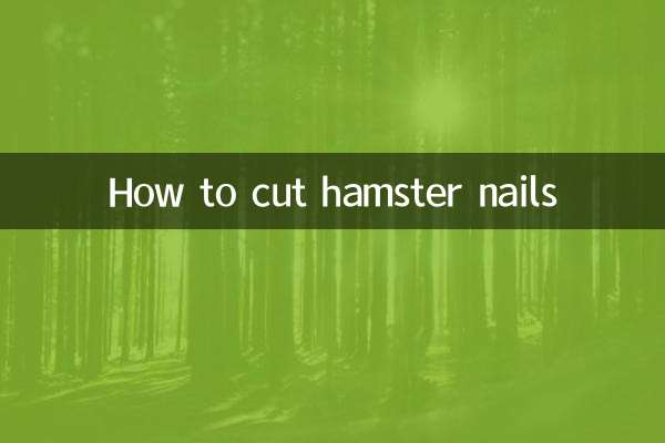 كيفية قص أظافر الهامستر