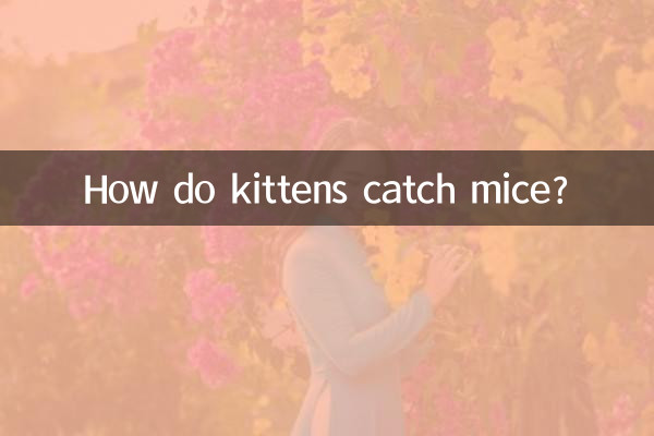 كيف القطط تصطاد الفئران؟