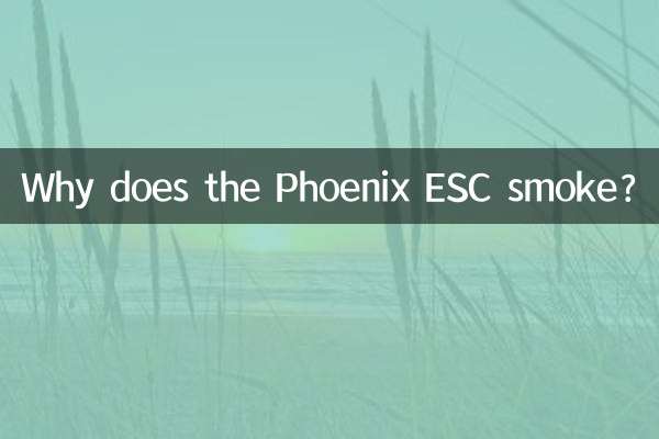 Warum raucht der Phoenix ESC?