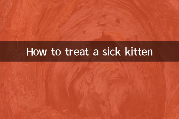 كيفية علاج قطة مريضة