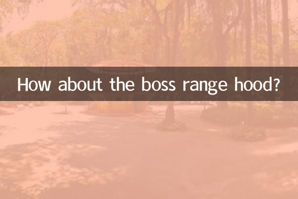 How about the boss range hood?