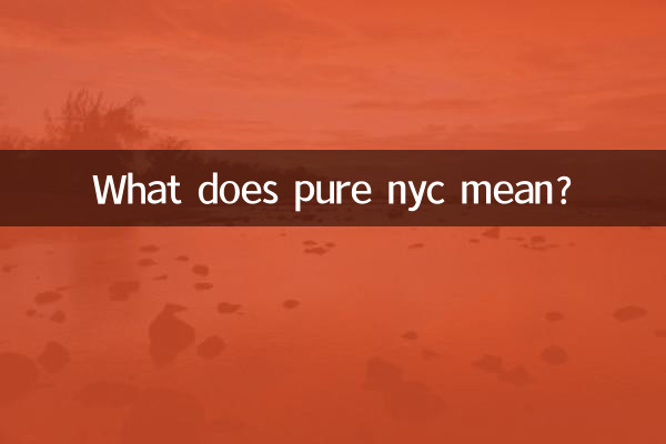 pure nyc은 무슨 뜻인가요?