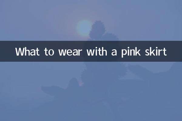 Was trägt man zu einem rosa Rock?