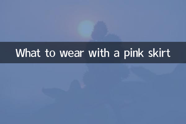 Was trägt man zu einem rosa Rock?