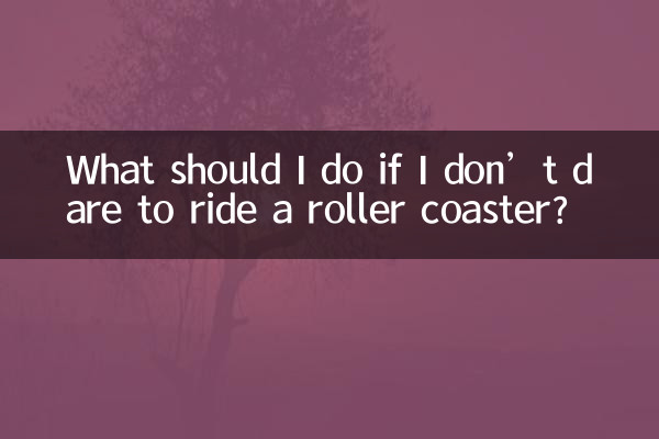 Was soll ich tun, wenn ich mich nicht traue, Achterbahn zu fahren?
