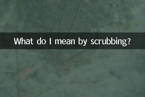 আমি স্ক্রাবিং বলতে কি বুঝি?