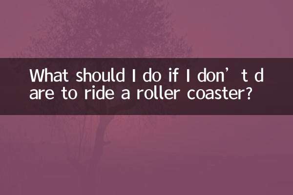 Was soll ich tun, wenn ich mich nicht traue, Achterbahn zu fahren?