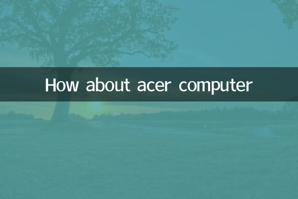 에이서 컴퓨터는 어떻습니까?