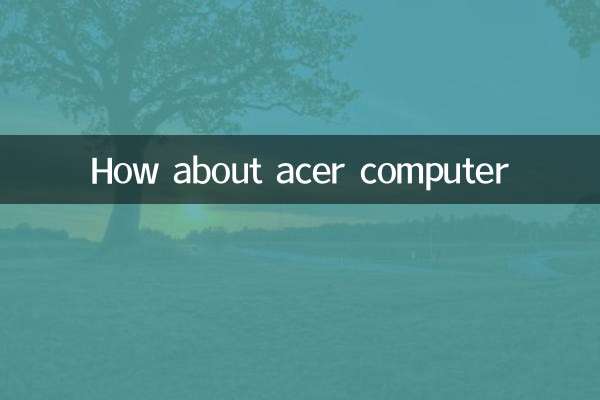 에이서 컴퓨터는 어떻습니까?
