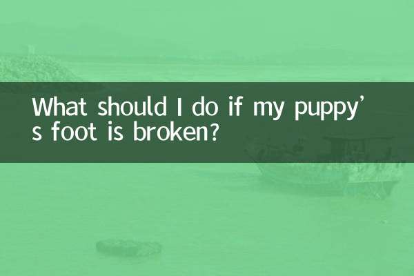 আমার কুকুরছানাটির পা ভেঙে গেলে আমার কী করা উচিত?