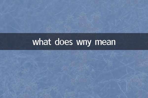 wny به چه معناست