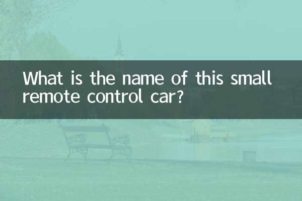 很小的遥控车叫什么名字