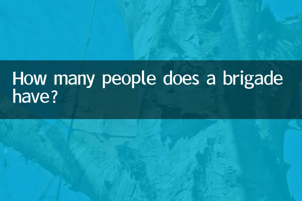 Сколько человек в бригаде?