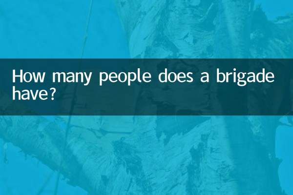 Сколько человек в бригаде?