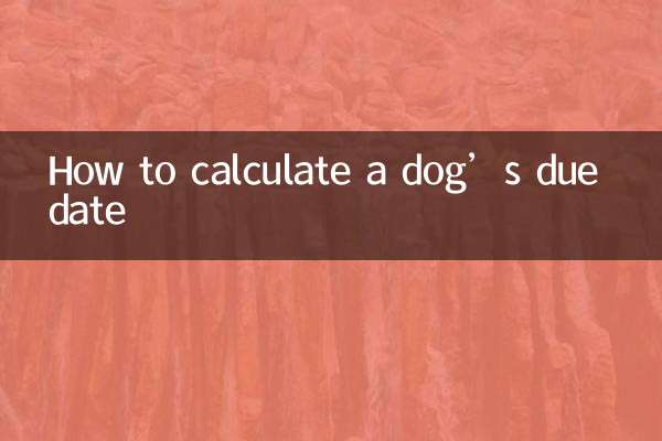 How to calculate a dog’s due date
