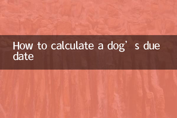 How to calculate a dog’s due date