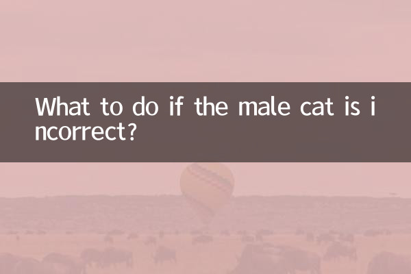 Что делать, если мужская кошка неверна?